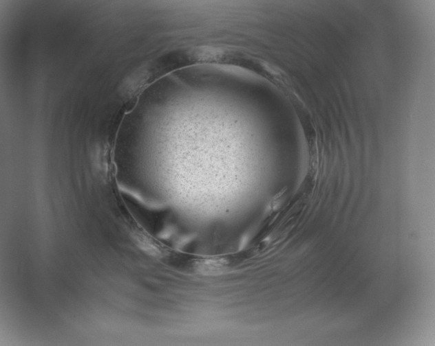 X0000062630525200512281558