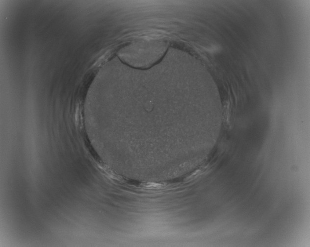 X0000062630527200512281558