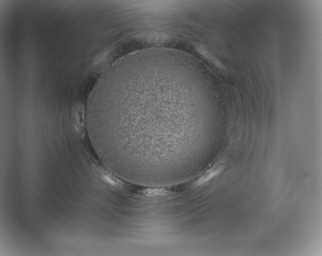 X0000062630528200512281558