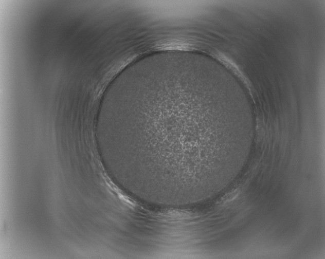 X0000062630529200512281558