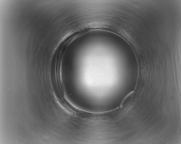 X0000062630530200512281558