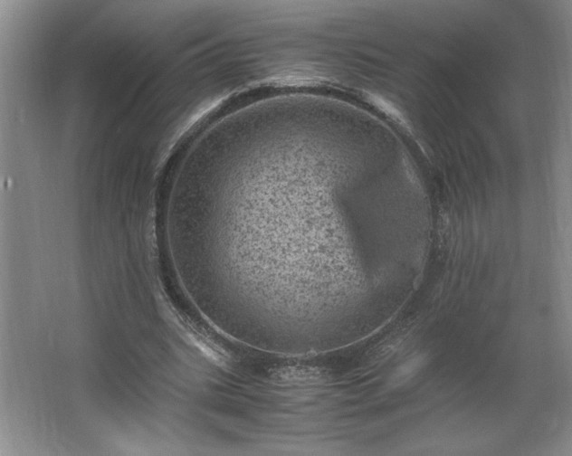 X0000062630535200512281558