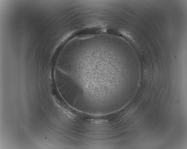 X0000062630539200512281558