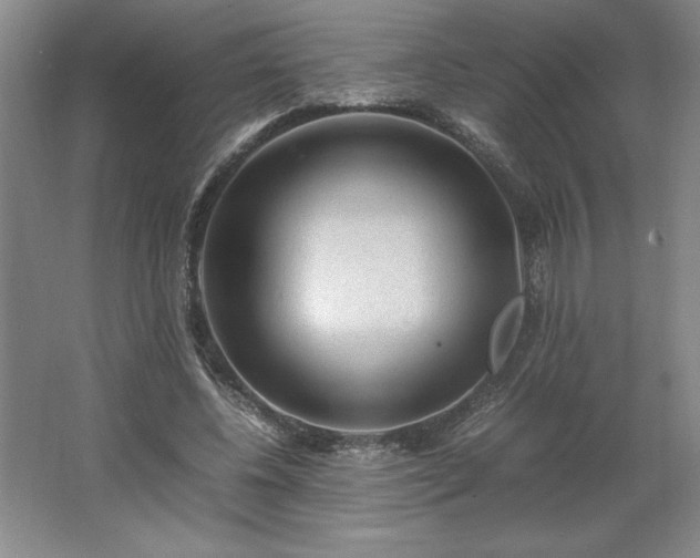 X0000062630540200512281558