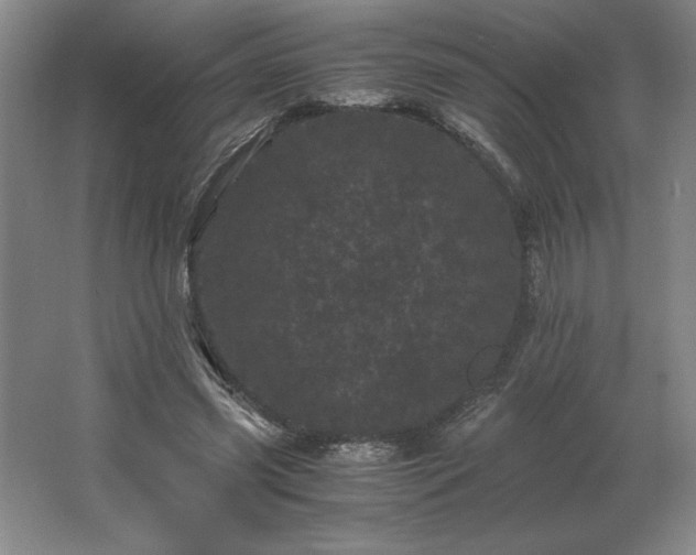 X0000062630541200512281558