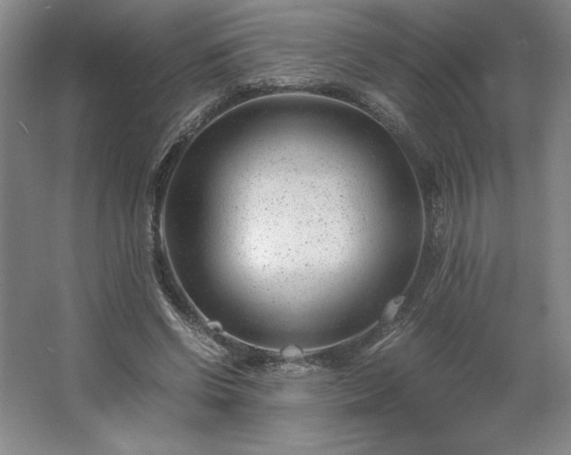 X0000062630542200512281558