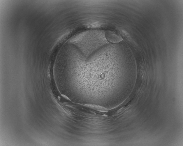 X0000062630543200512281558