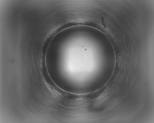 X0000062630544200512281558