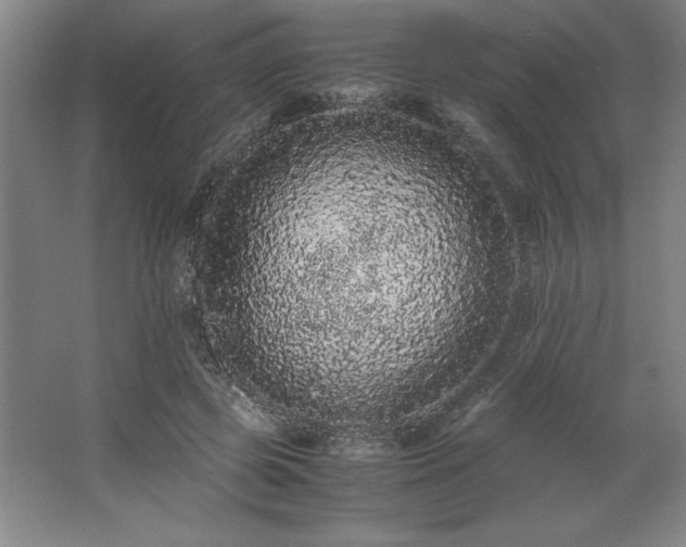 X0000062630545200512281558