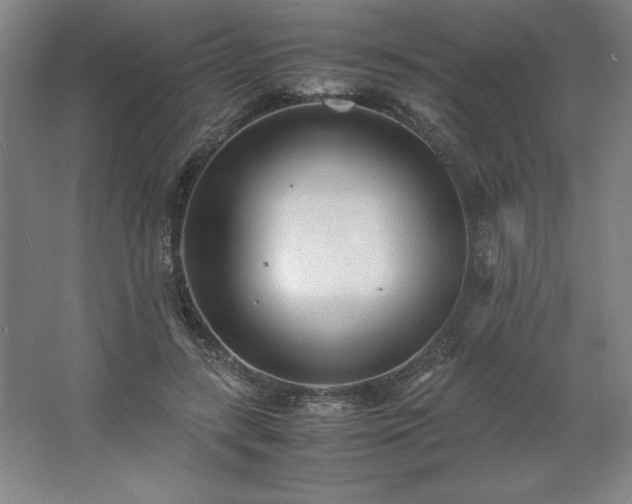 X0000062630547200512281558