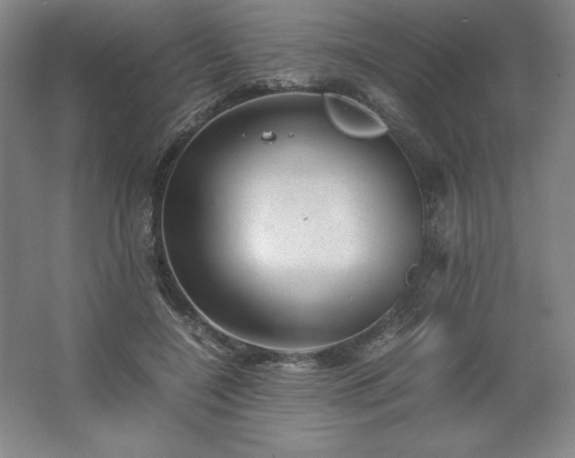 X0000062630548200512281558