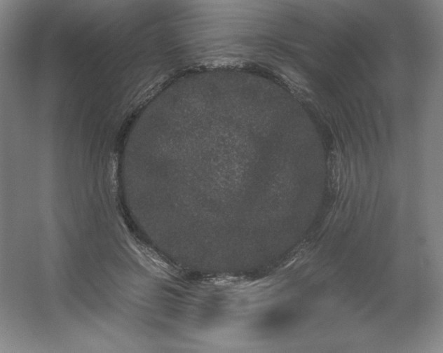 X0000062630550200512281558