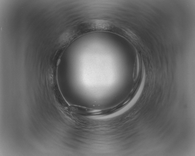 X0000062630552200512281558