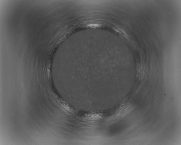 X0000062630553200512281558