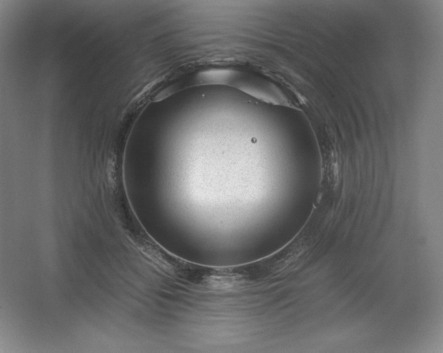 X0000062630556200512281558