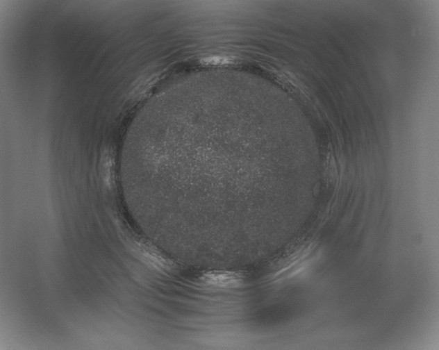 X0000062630557200512281558