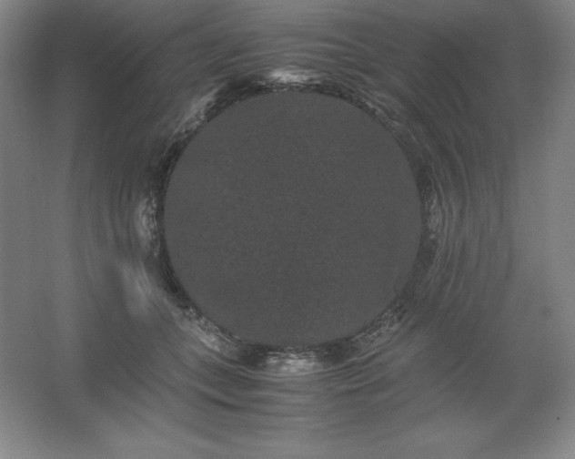 X0000062630559200512281558