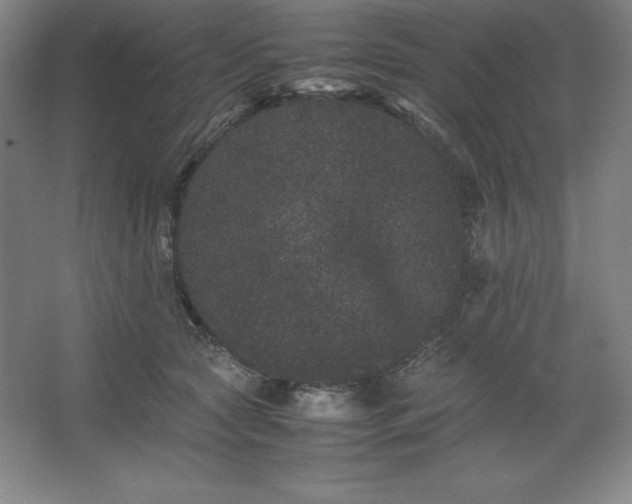 X0000062630561200512281558