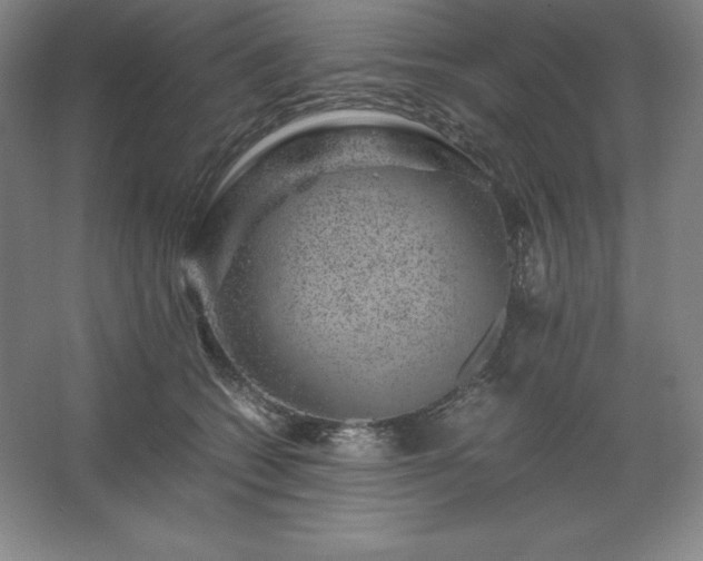 X0000062630562200512281558