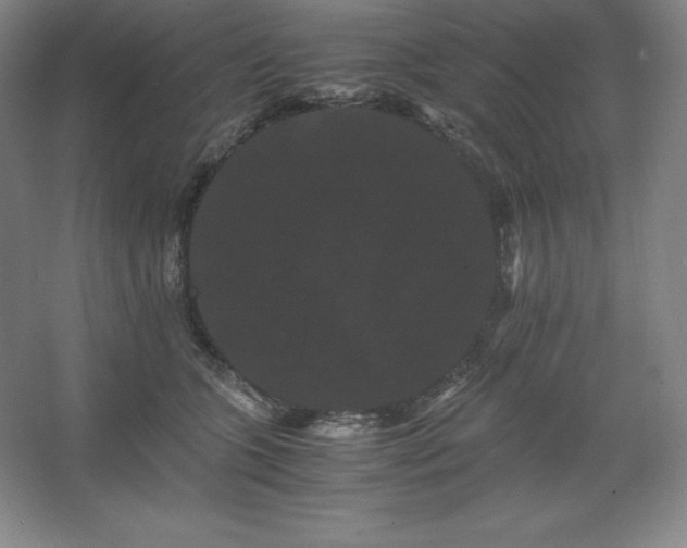 X0000062630563200512281558