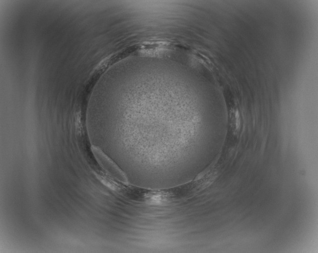 X0000062630564200512281558