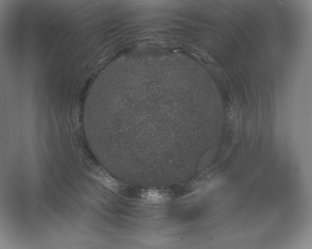 X0000062630565200512281558