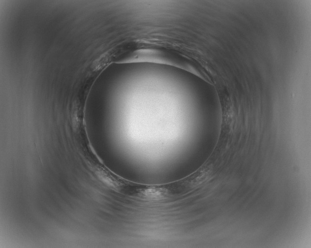 X0000062630566200512281558