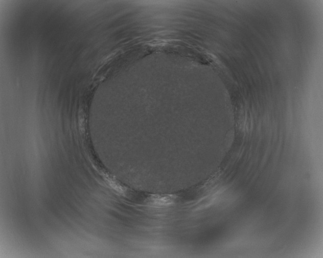 X0000062630569200512281558