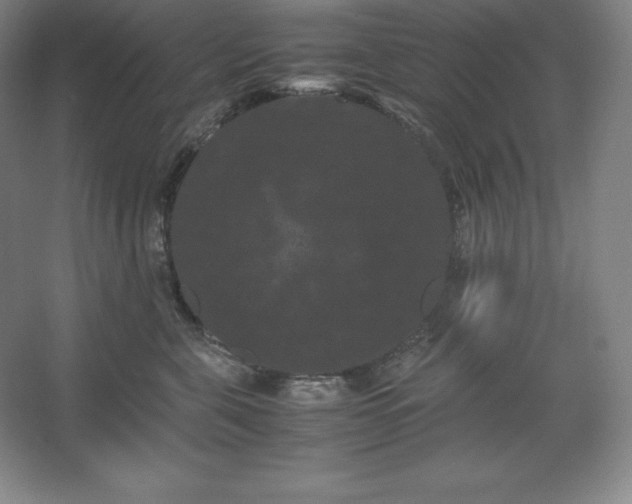 X0000062630571200512281558