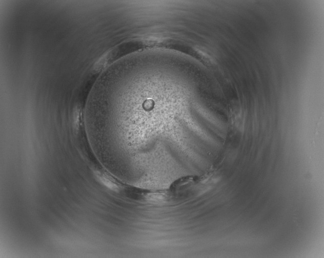 X0000062630574200512281558