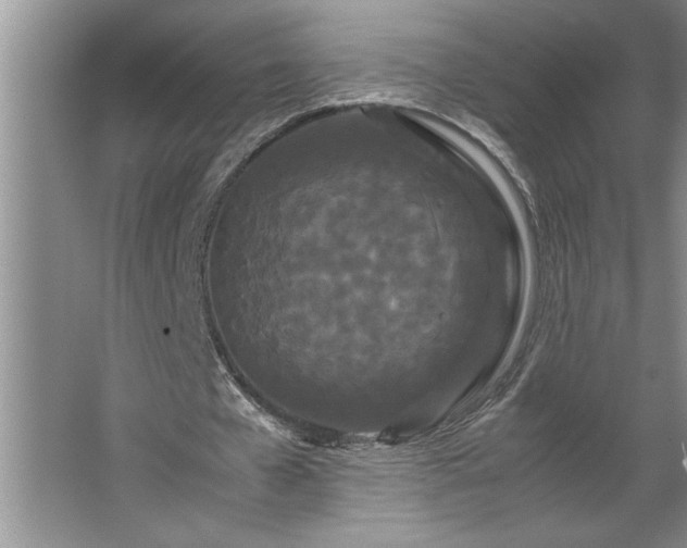 X0000062630577200512281558