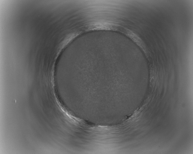 X0000062630578200512281557