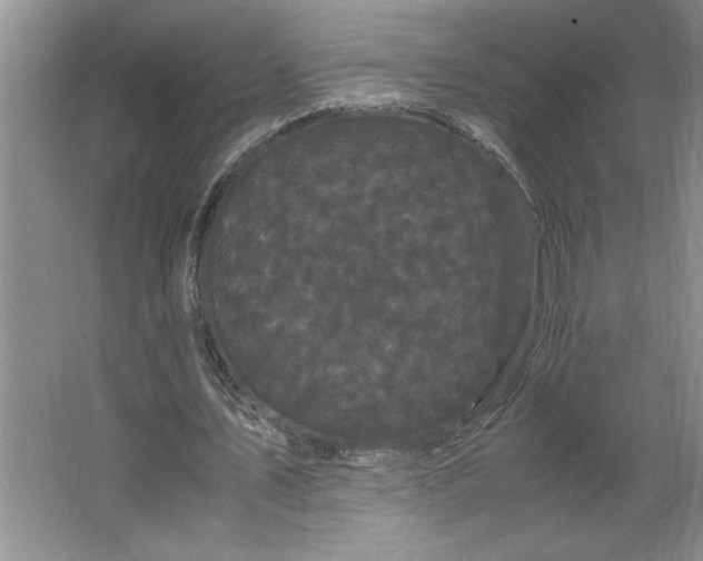 X0000062630579200512281557