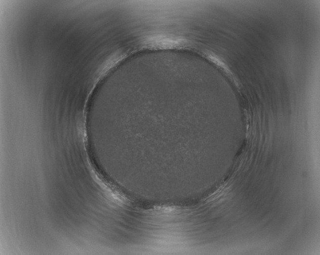 X0000062630582200512281557