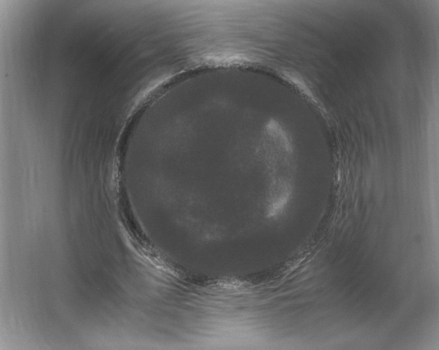 X0000062630583200512281557