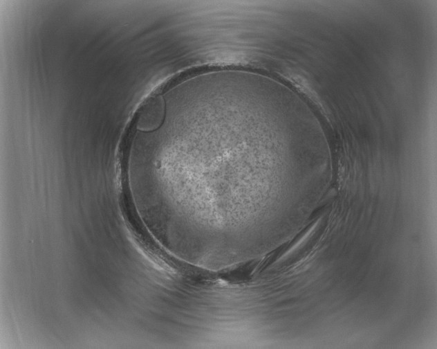 X0000062630584200512281557