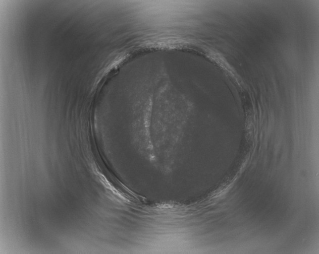 X0000062630585200512281557