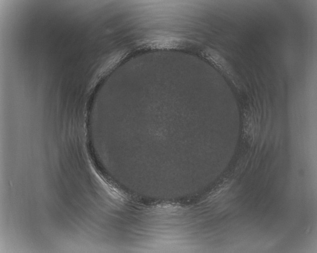 X0000062630586200512281557