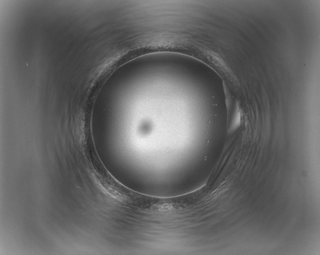 X0000062630588200512281557