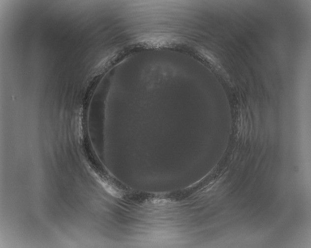 X0000062630590200512281557