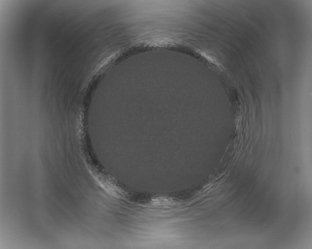 X0000062630591200512281557