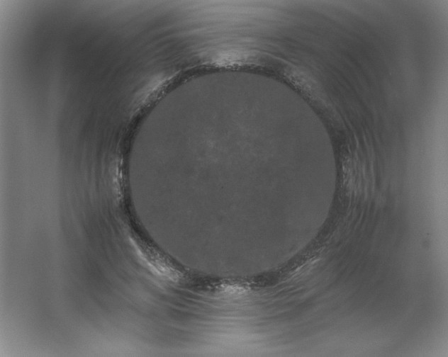 X0000062630592200512281557