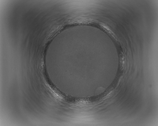 X0000062630593200512281557