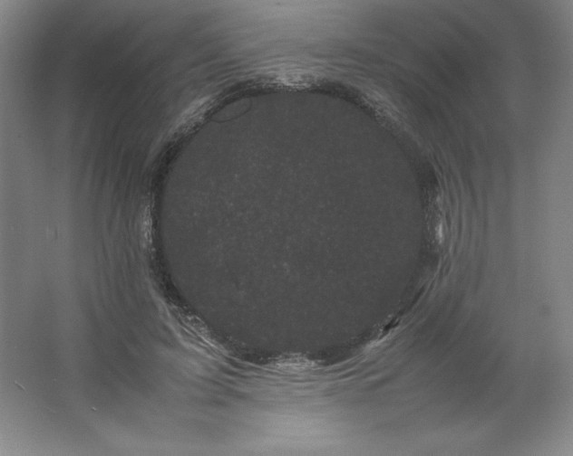 X0000062630595200512281557