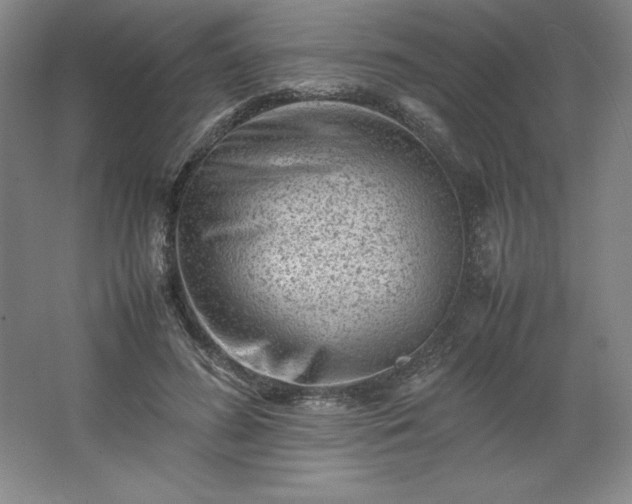 X0000062630596200512281557