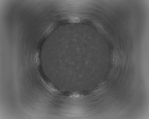 X0000062630598200512281557