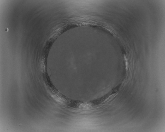 X0000062630599200512281557