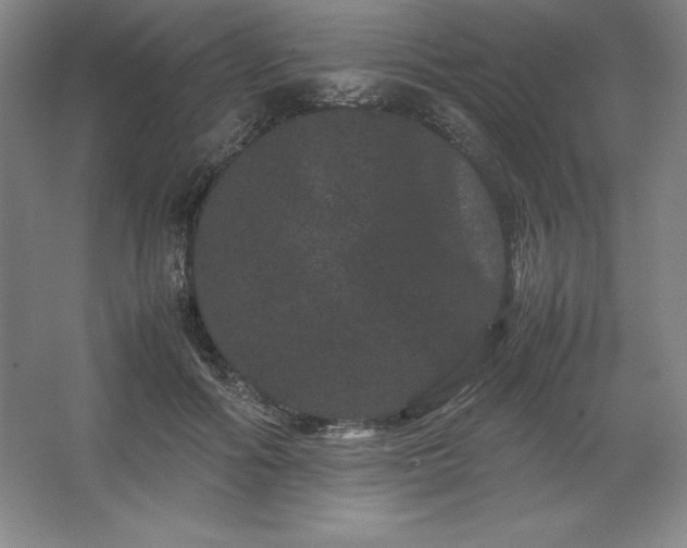 X0000062630602200512281557