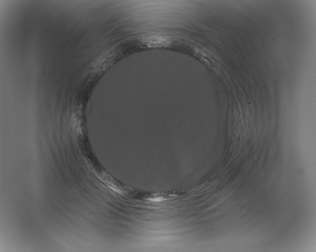 X0000062630604200512281557