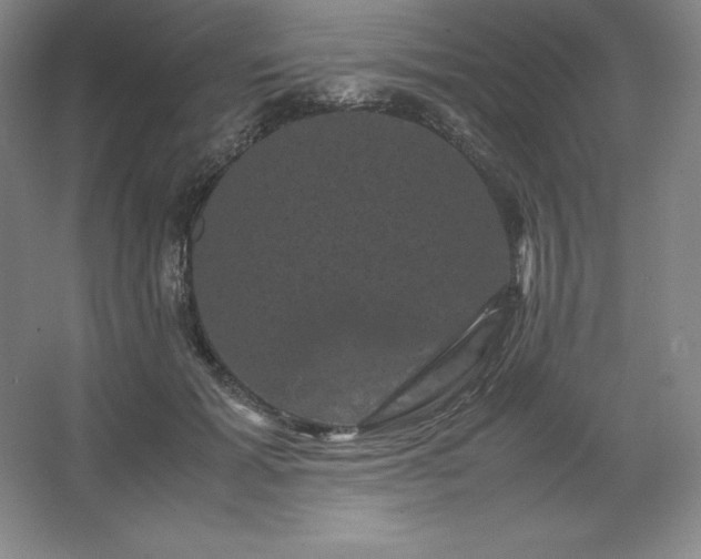 X0000062630605200512281557